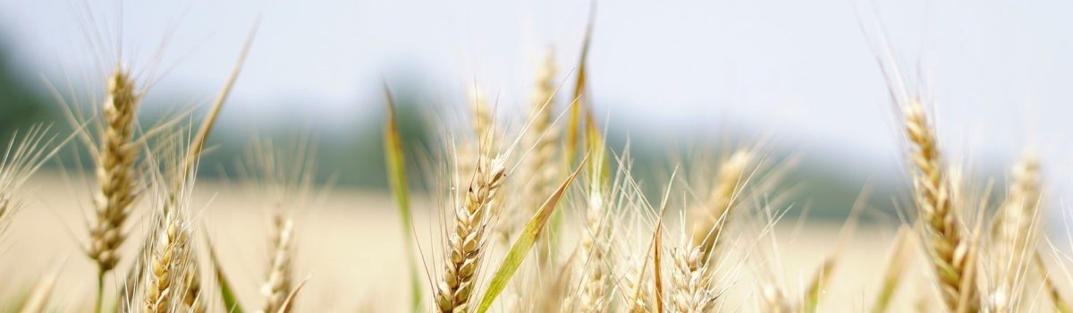 Offre d’emploi : Chargé de gestion analytique scientifique (H/F)